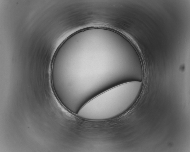 X0000112151343200908070953