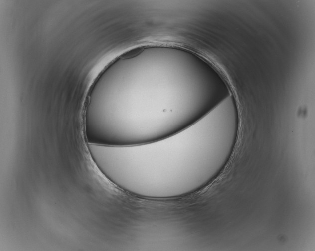 X0000112151344200908070953
