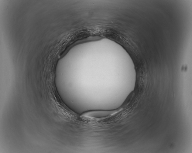 X0000112151345200908070953