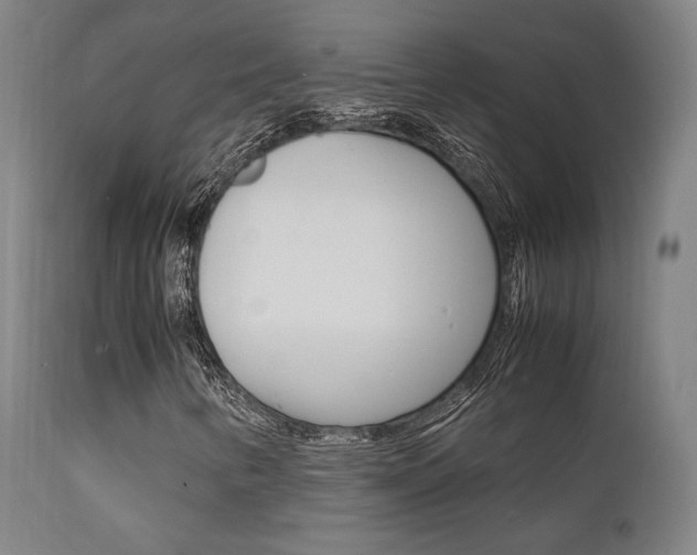 X0000112151346200908070953