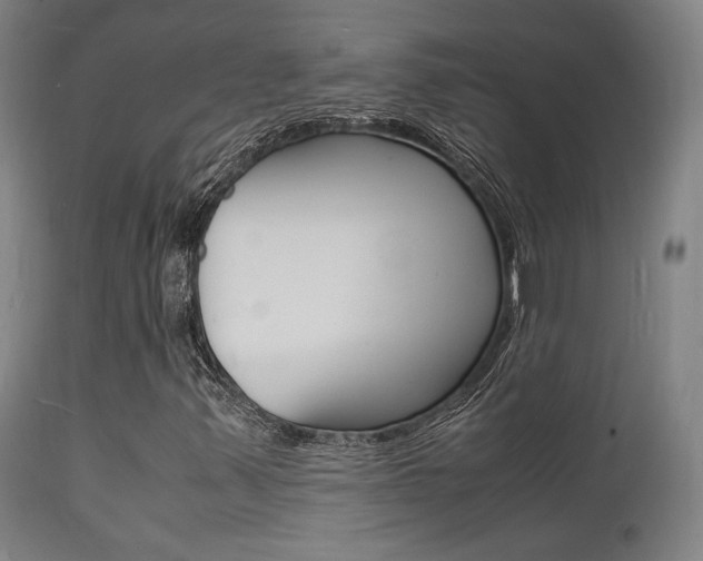 X0000112151347200908070953