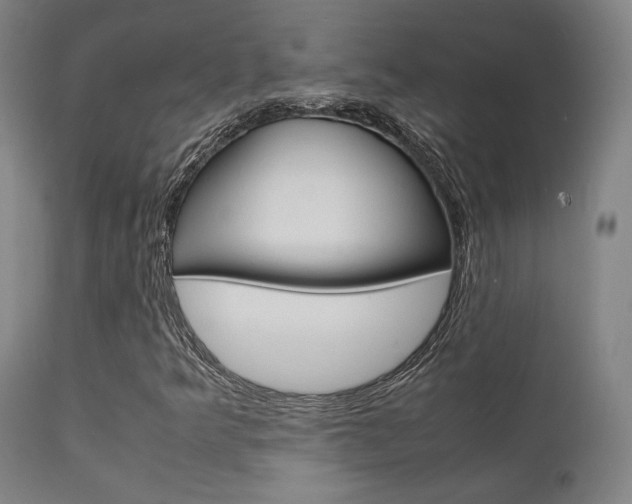 X0000112151349200908070953