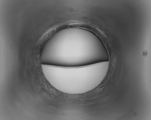 X0000112151351200908070953