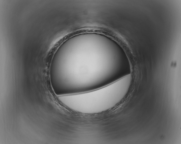 X0000112151352200908070953