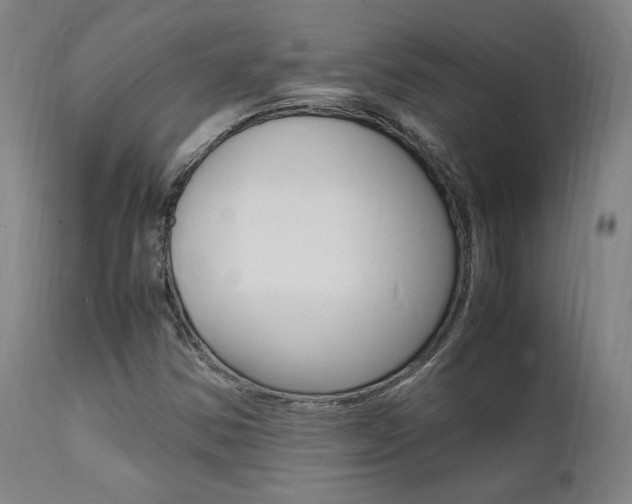 X0000112151354200908070953