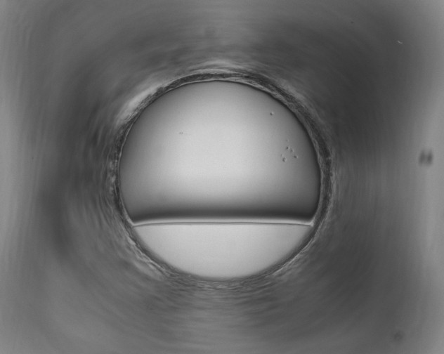 X0000112151355200908070953