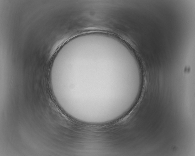 X0000112151357200908070953