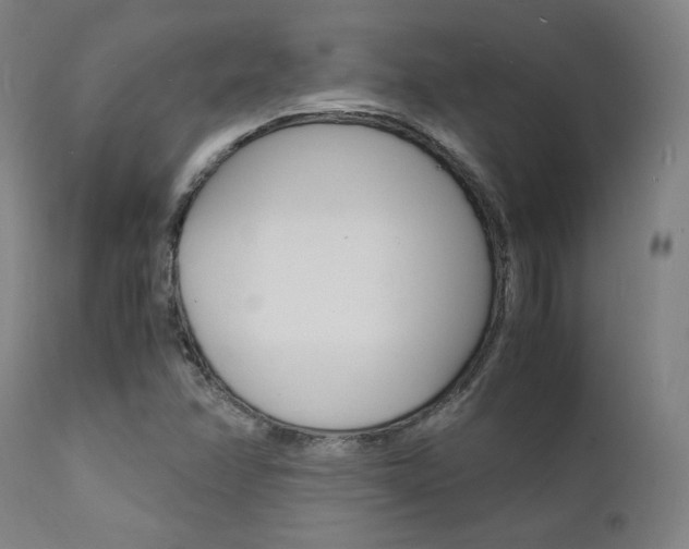 X0000112151358200908070953