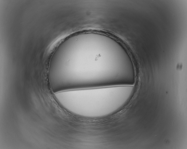 X0000112151359200908070953