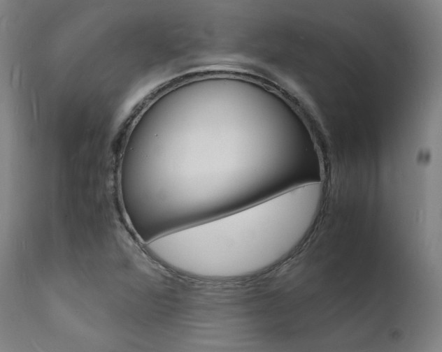 X0000112151360200908070953