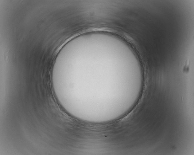 X0000112151361200908070953