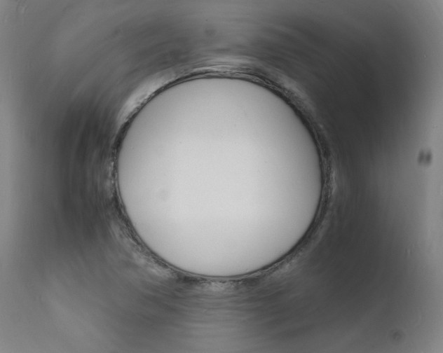 X0000112151362200908070953