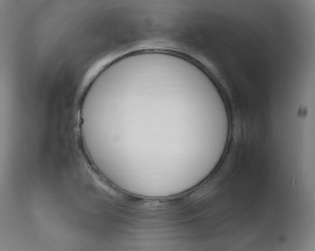 X0000112151366200908070953