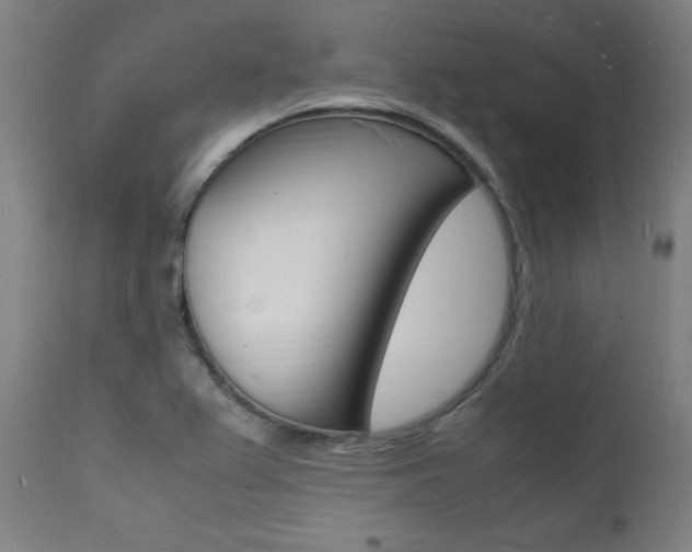 X0000112151367200908070953