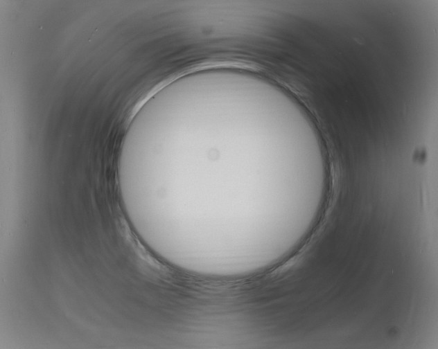 X0000112151369200908070953