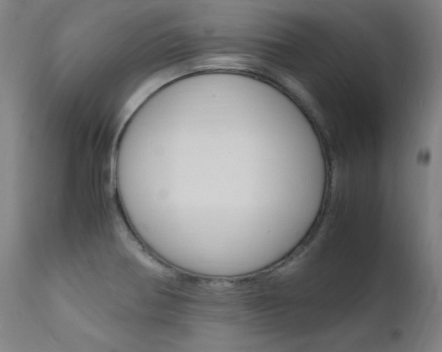 X0000112151370200908070952
