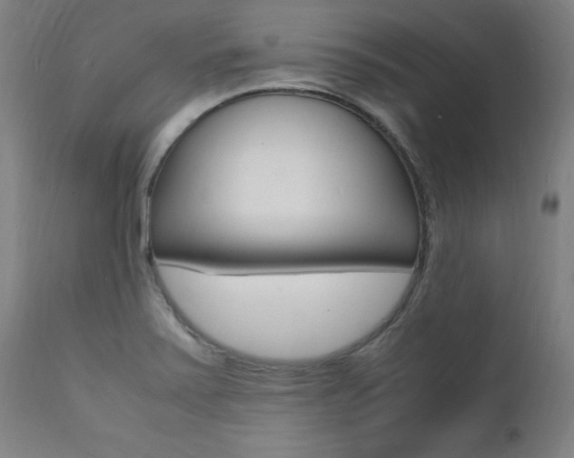 X0000112151371200908070952