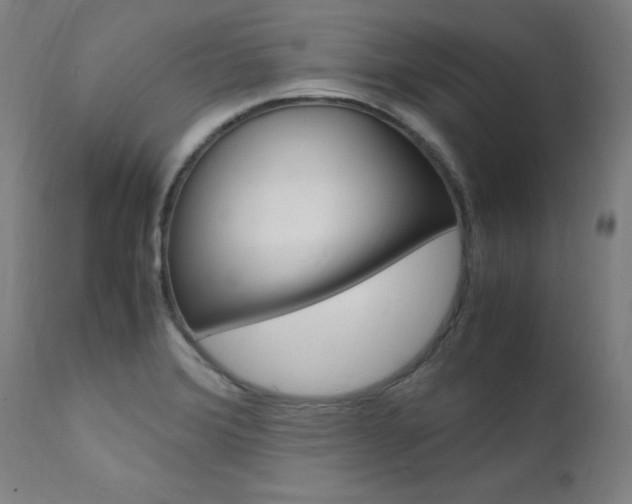 X0000112151372200908070952