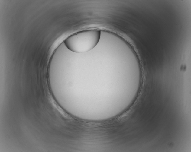 X0000112151373200908070952