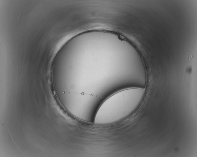 X0000112151375200908070952