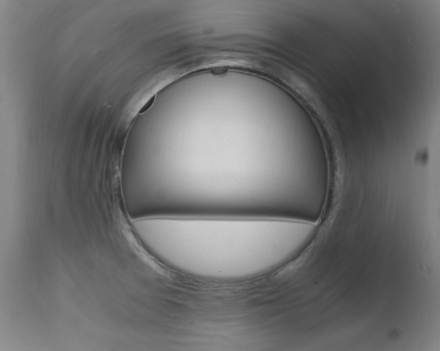X0000112151377200908070952