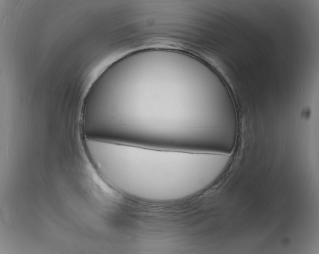 X0000112151379200908070952