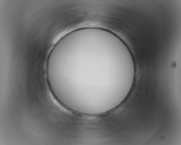 X0000112151382200908070952