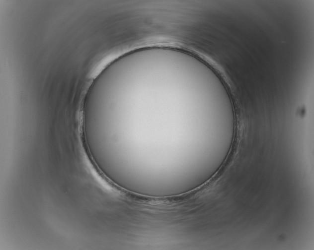 X0000112151383200908070952