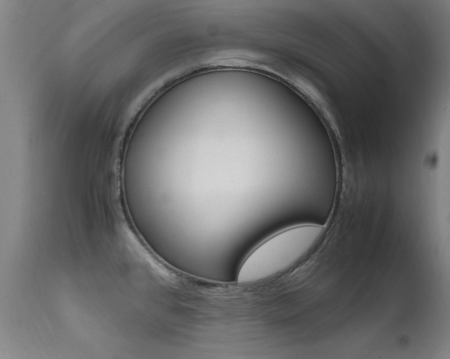 X0000112151384200908070952