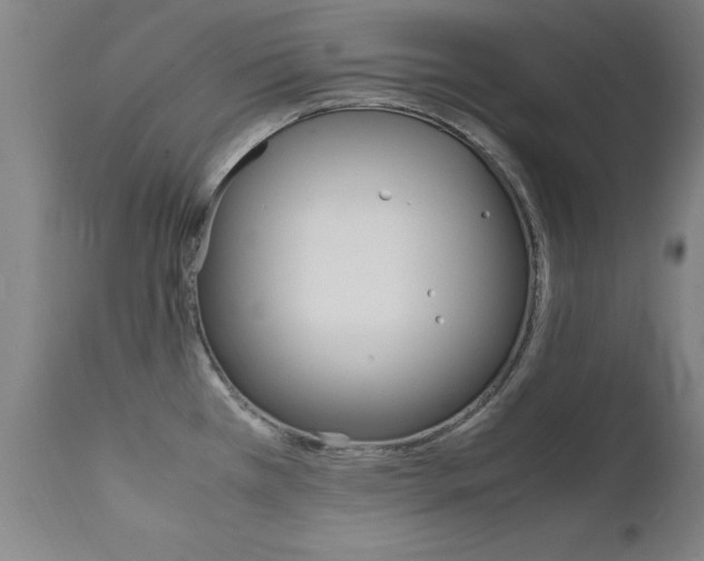 X0000112151385200908070952