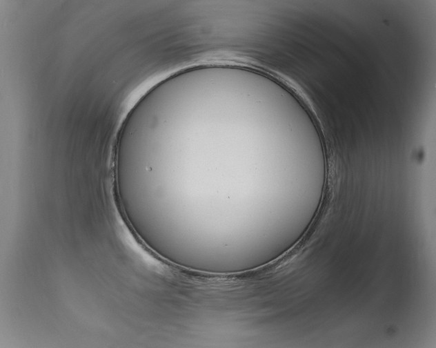 X0000112151387200908070952