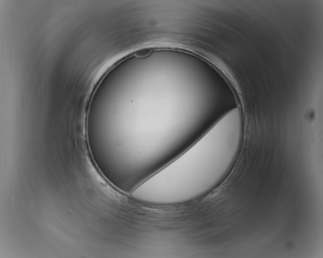 X0000112151388200908070952