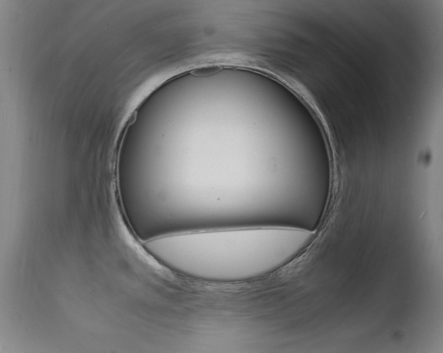 X0000112151389200908070952