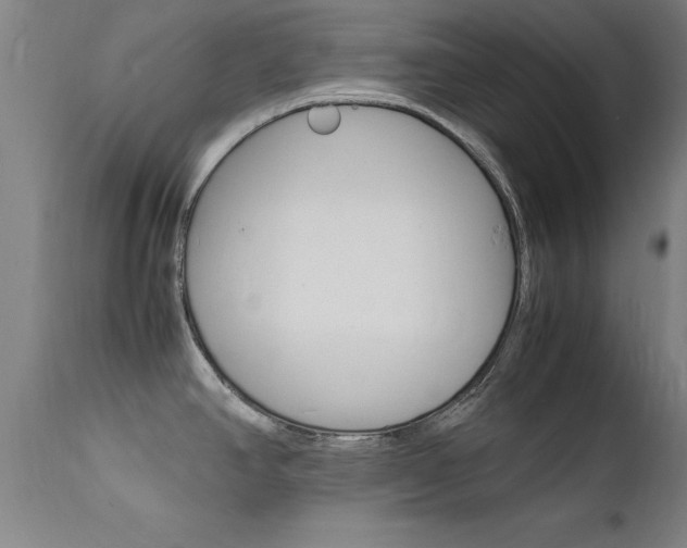 X0000112151390200908070952