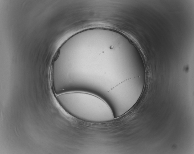 X0000112151391200908070952