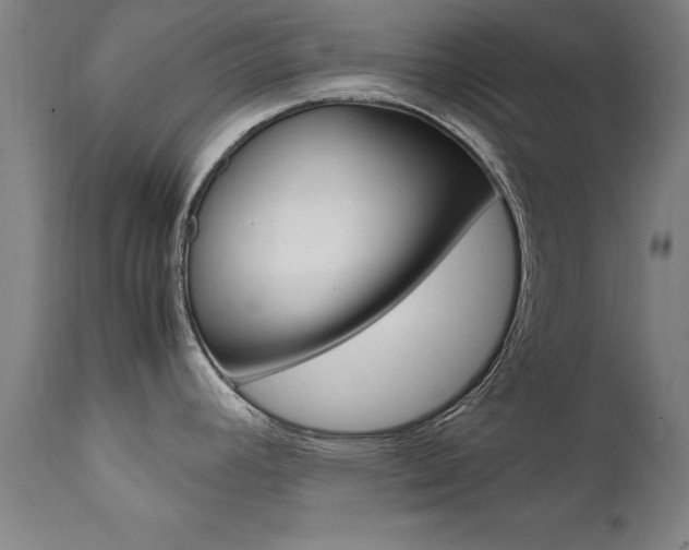 X0000112151392200908070952