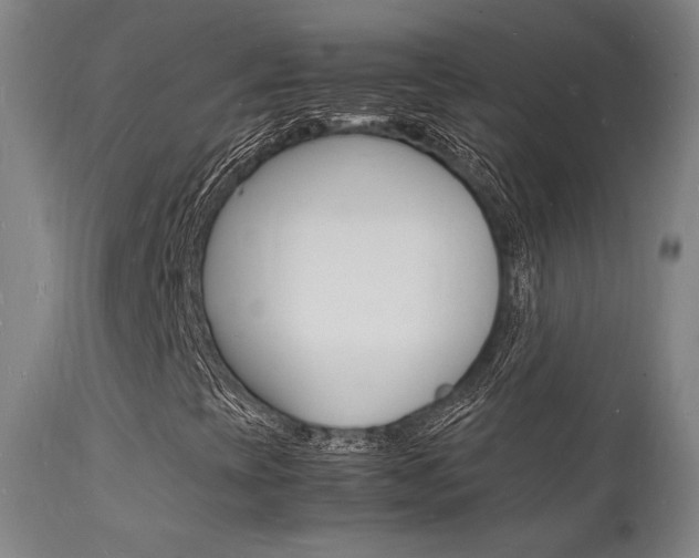 X0000112151393200908070951