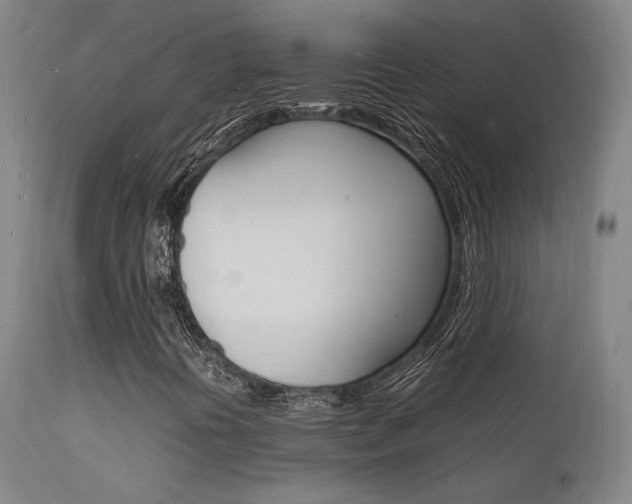 X0000112151394200908070951