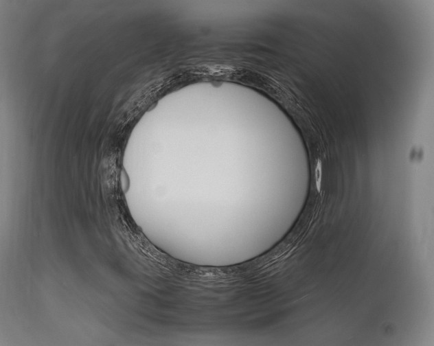 X0000112151395200908070951