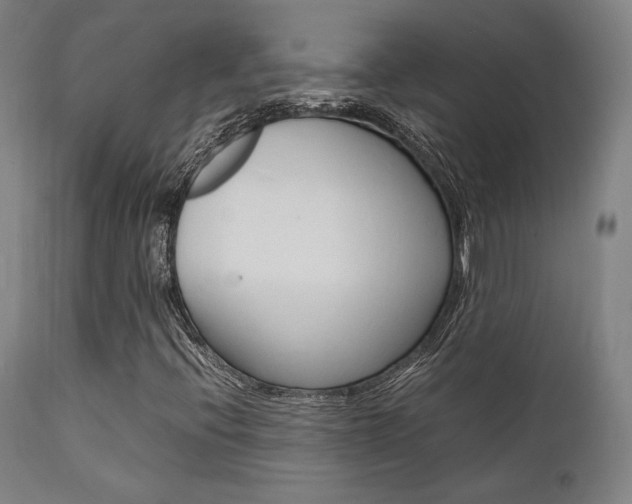 X0000112151396200908070951