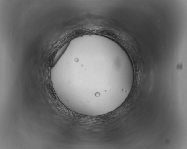 X0000112151397200908070951