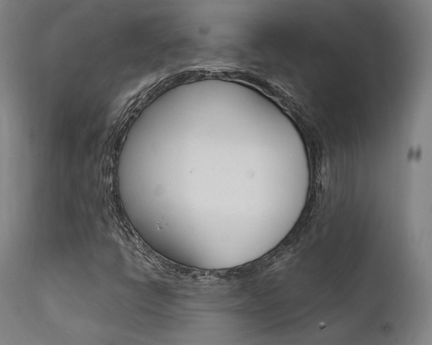 X0000112151398200908070951
