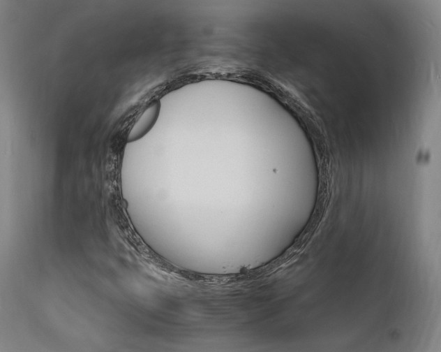 X0000112151399200908070951