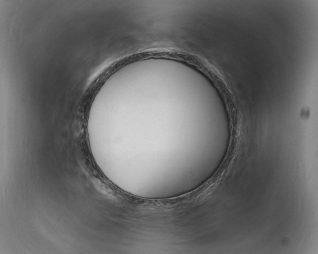 X0000112151400200908070951