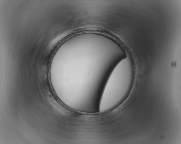 X0000112151402200908070951