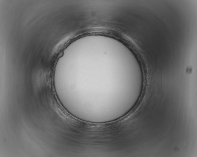 X0000112151403200908070951