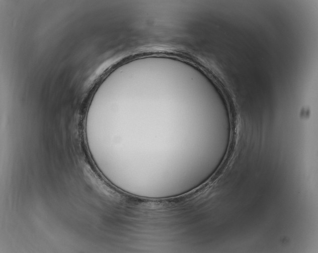 X0000112151404200908070952