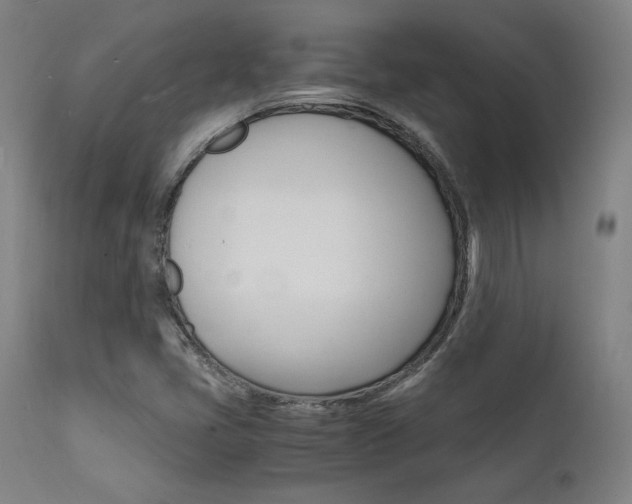 X0000112151405200908070952