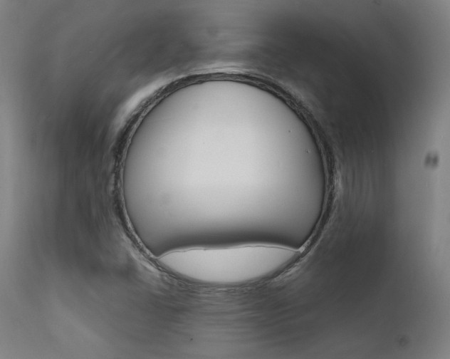 X0000112151406200908070952
