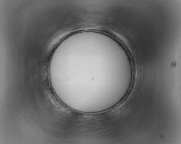 X0000112151407200908070952